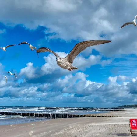 112 Z Ogrodkiem - 5d 아파트 니에초르체