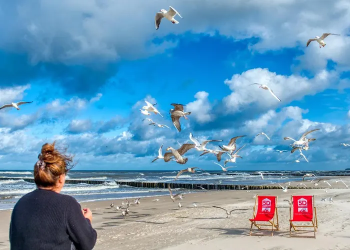 Διαμέρισμα 112 Z Ogrodkiem, Z Basenem, Sauna, Jacuzzi, Przy Samej Plazy - 5d