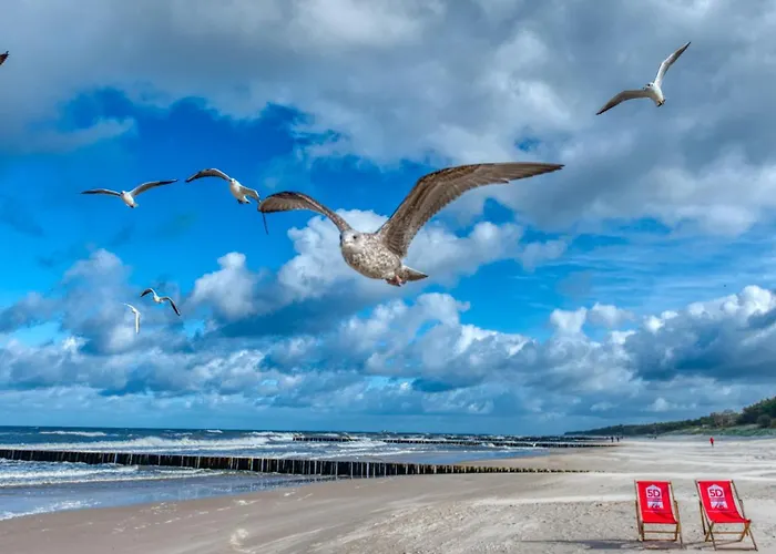 112 Z Ogrodkiem, Z Basenem, Sauna, Jacuzzi, Przy Samej Plazy - 5d Διαμέρισμα Niechorze